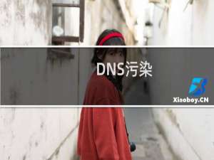 DNS污染