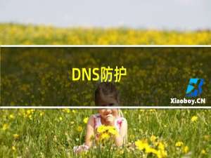 DNS防护