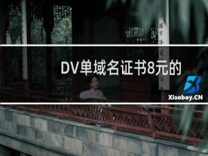 DV单域名证书8元的怎么操作