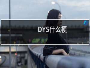 DYS什么梗