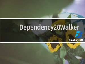 【Dependency Walker】免费Dependency Walker软件下载