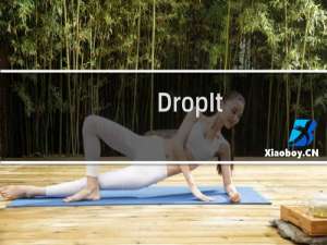 【DropIt】免费DropIt软件下载