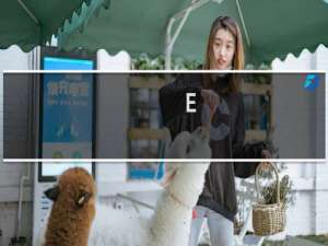 【E-钻文件夹加密大师】免费E-钻文件夹加密大师软件下载
