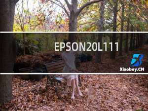 EPSON L111 L110清零软件 中文 教程图解