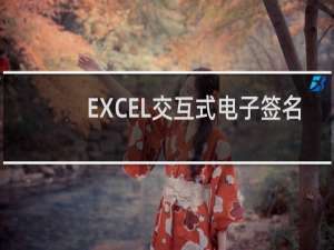 【EXCEL交互式电子签名】免费EXCEL交互式电子签名软件下载