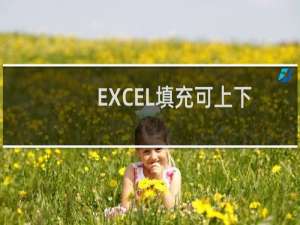 EXCEL填充可上下拉
