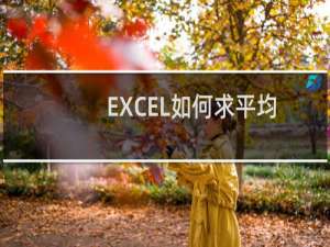 EXCEL如何求平均数