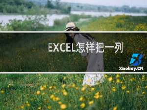 EXCEL怎样把一列当中的重复项全部删除