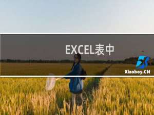 EXCEL表中#N/A是什么意思?#N/A是什么?