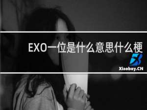 EXO一位是什么意思什么梗
