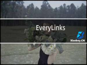【EveryLinks】免费EveryLinks软件下载