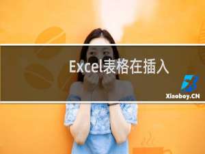 Excel表格在插入的图片上添加文字的方法