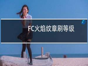 FC火焰纹章刷等级
