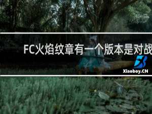FC火焰纹章有一个版本是对战