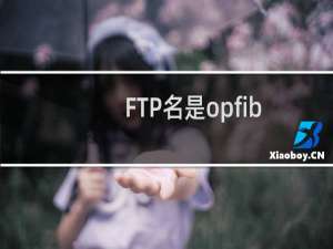 FTP名是opfibren的空间