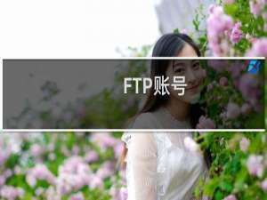 FTP账号：meiyankeji   后台突然进不去了