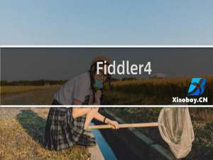 【Fiddler4】免费Fiddler4软件下载