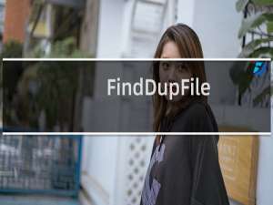 【FindDupFile】免费FindDupFile软件下载