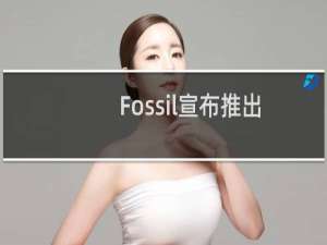 Fossil宣布推出Michael Kors和Skagen的新款智能手表