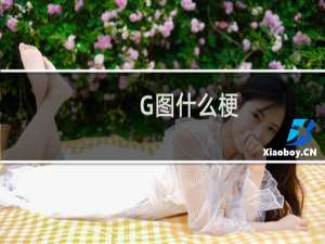 G图什么梗