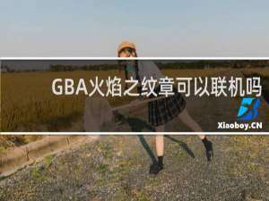 GBA火焰之纹章可以联机吗