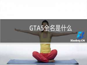 GTA5全名是什么_