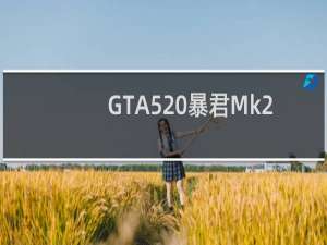 GTA5 暴君Mk2如何使用保险 共荣保险