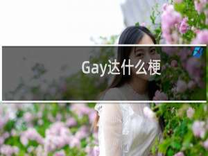 Gay达什么梗