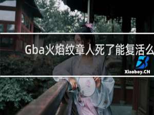 Gba火焰纹章人死了能复活么