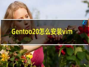 Gentoo 怎么安装vim