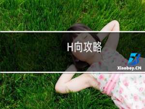 H向攻略
