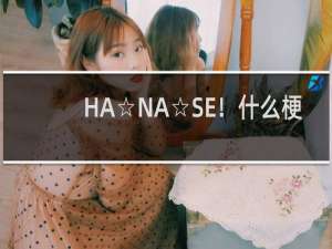 HA☆NA☆SE！什么梗