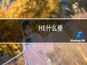 HE什么梗？什么梗
