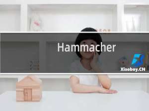 Hammacher（Schlemmer是什么牌子毛巾）