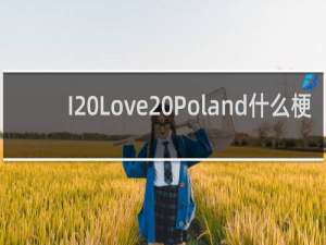 I Love Poland什么梗