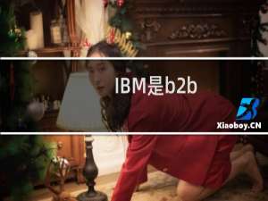 IBM是b2b
