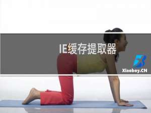 【IE缓存提取器】免费IE缓存提取器软件下载