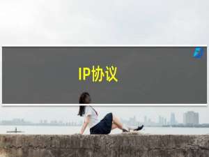IP协议