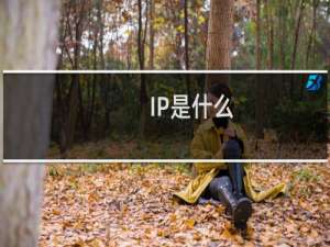 IP是什么