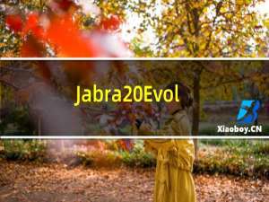 Jabra Evolve 65e无线耳塞在印度推出