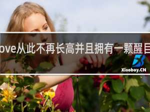 Jackeylove从此不再长高并且拥有一颗醒目的大头什么梗