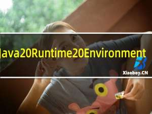 【Java Runtime Environment】免费Java Runtime Environment软件下载