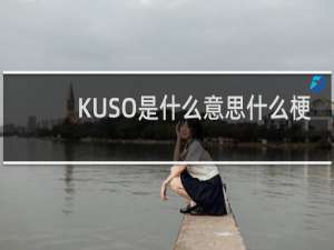 KUSO是什么意思什么梗