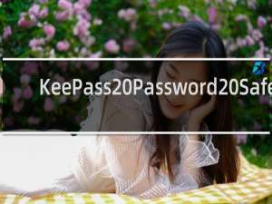 【KeePass Password Safe】免费KeePass Password Safe软件下载
