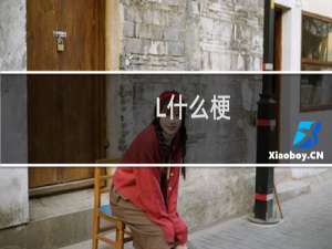 L什么梗