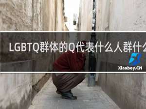 LGBTQ群体的Q代表什么人群什么梗