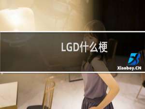 LGD什么梗