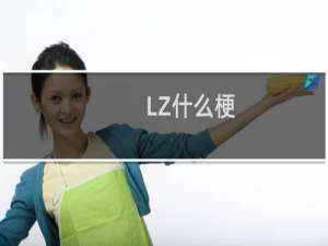 LZ什么梗