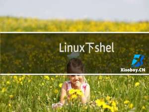 Linux下shell中case命令详解