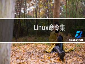 Linux命令集
